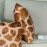 Giraffe pattern plush pillowcase